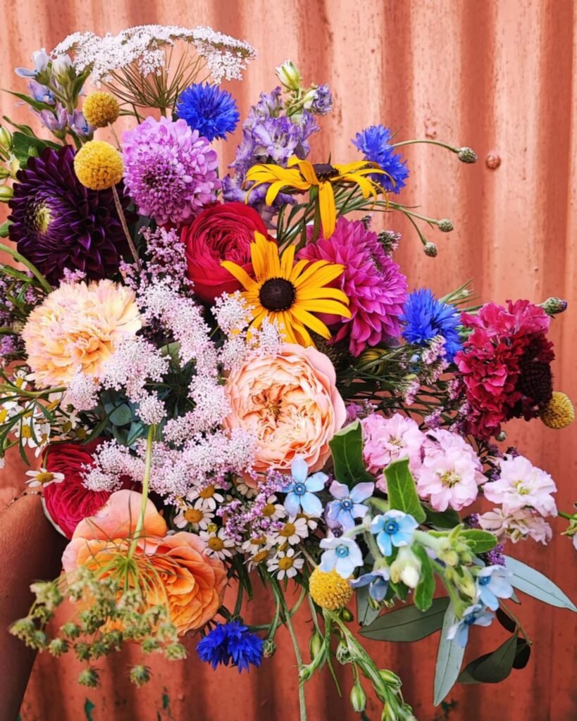 photo bouquet champêtre ultraviolette fleuriste Morlaix